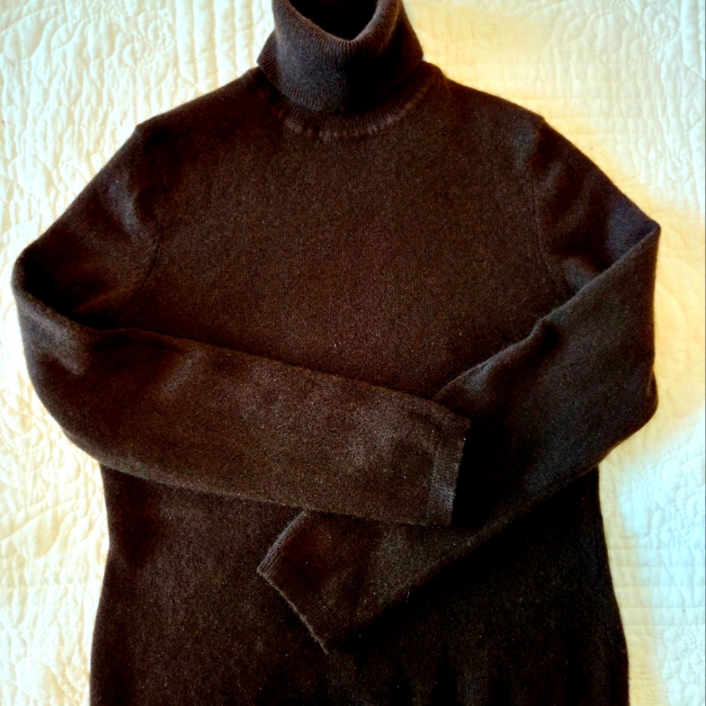 Womens Charter Club Cashmere Turtleneck, Brown, Size Small Petite